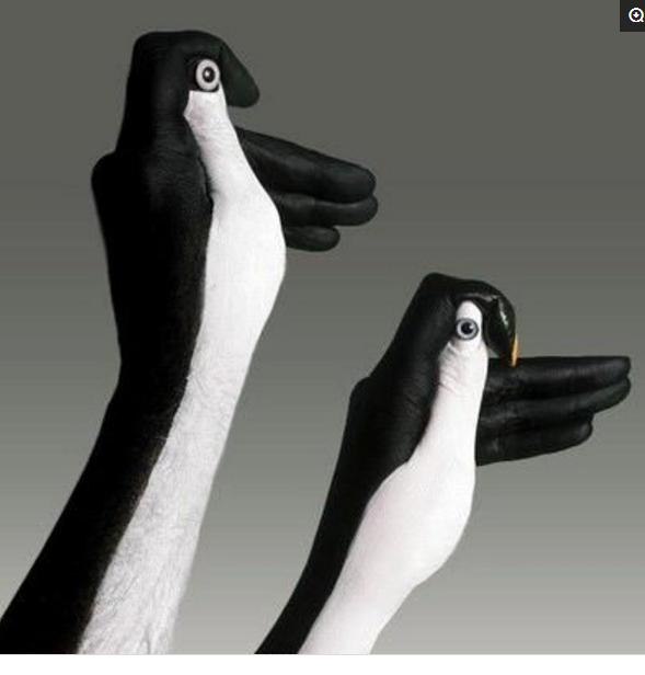 教小朋友做手影游戏,手影幼儿游戏