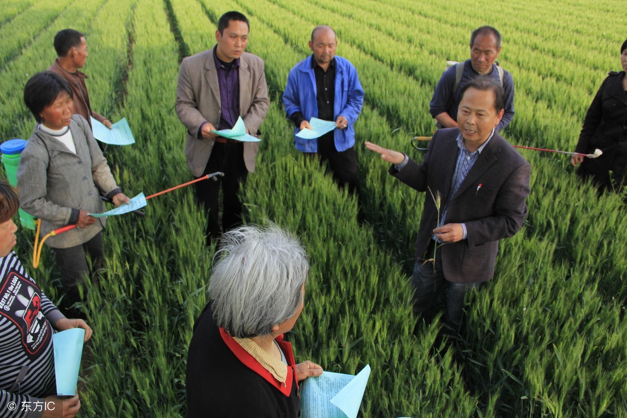 查农业补贴去哪个单位,农业补贴项目申报代办