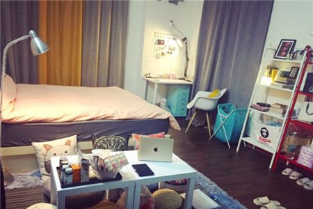 成都2024年公租房房源,成都公租房未来趋势如何