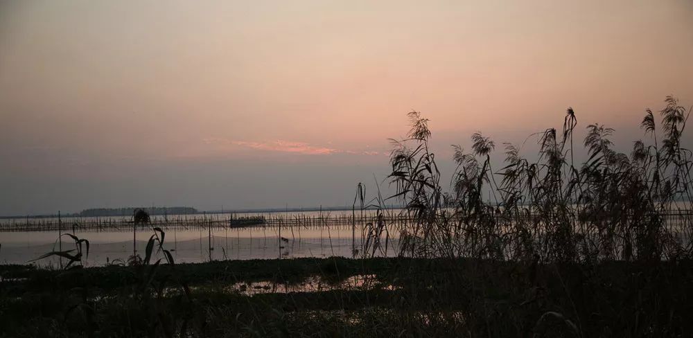 夏天夜宵之王小龙虾,夏日夜宵小龙虾