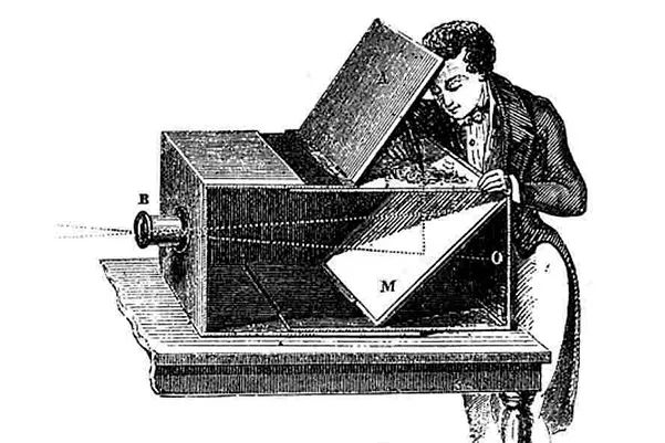 大个头大智慧,大脑门子大智慧