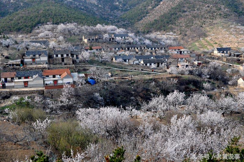 杜牧诗中的杏花村到底在哪里,牧童遥指的杏花村到底是哪里