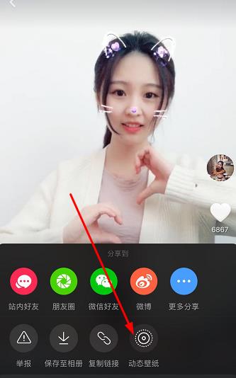抖音下载的动态壁纸苹果怎么设置,苹果手机设置抖音动态壁纸