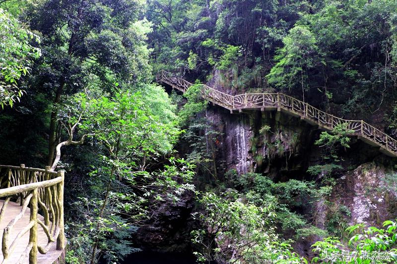 云顶大峡谷攻略,云顶大峡谷景区