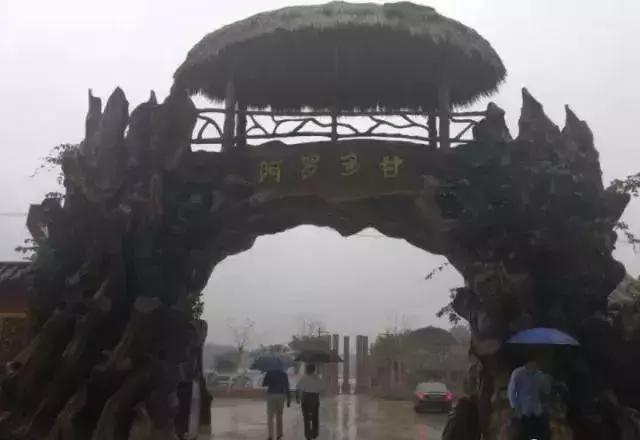 海南共享农庄批几个村庄,海南2019年首批共享农庄