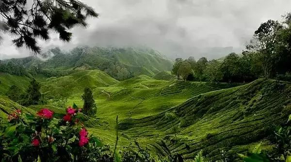 英德黎溪旅游景点大全,英德旅游景点推荐自驾游