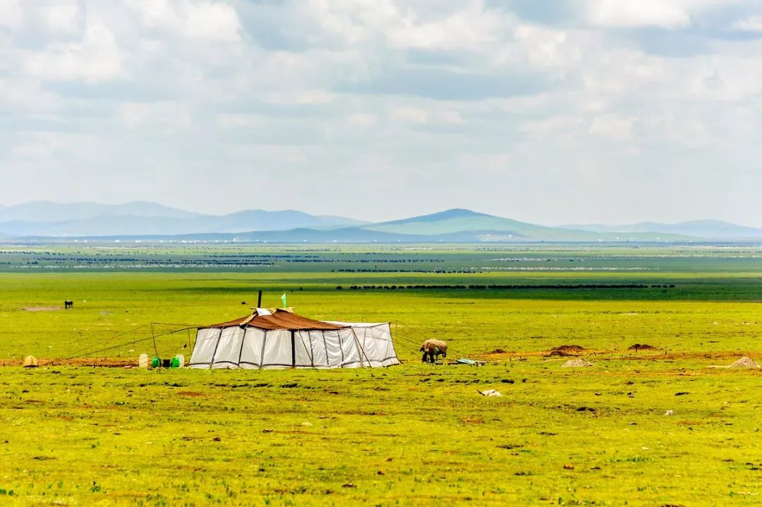 连绵的群山、广袤的草原、蜿蜒的河流……它就是独一无二的若尔盖