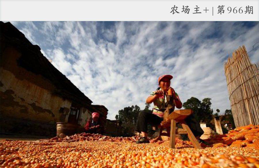 搞农业打工,搞农业的人是真的辛苦