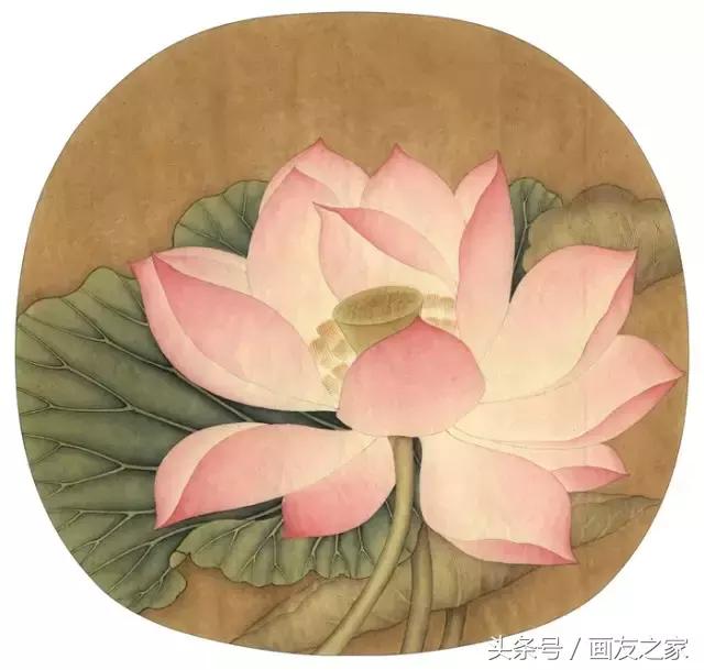 图文教程丨李晓明《出水芙蓉图》绘制步骤（含详细文字解析）