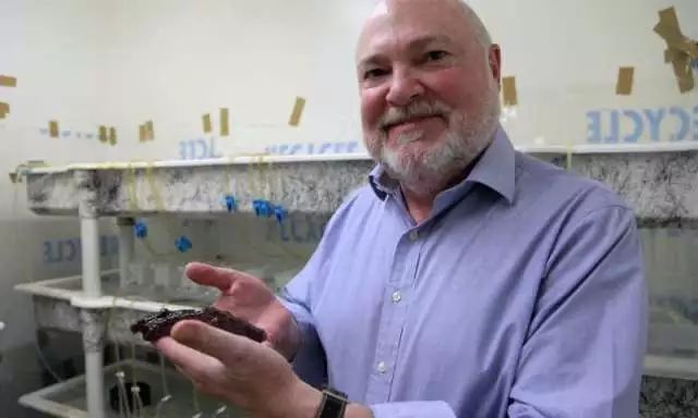 老年痴呆摔了一跤恢复记忆,老年痴呆患者的记忆训练