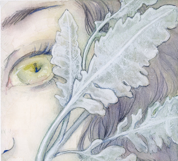 白夜水彩,白夜水彩分享