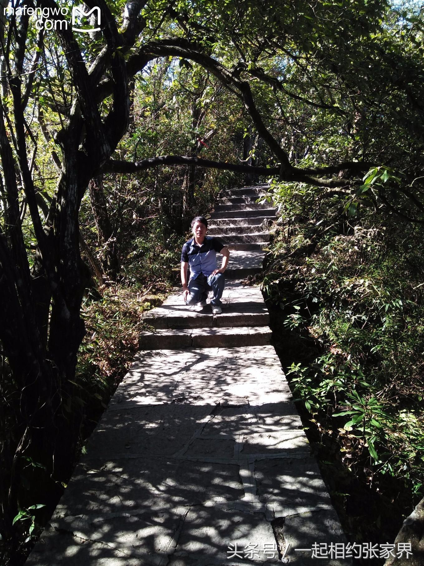 张家界机场到天门山自由行攻略,张家界天门山一日游攻略省钱