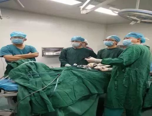 3d腹腔镜微创疝气修补术,成人疝气腹腔镜微创