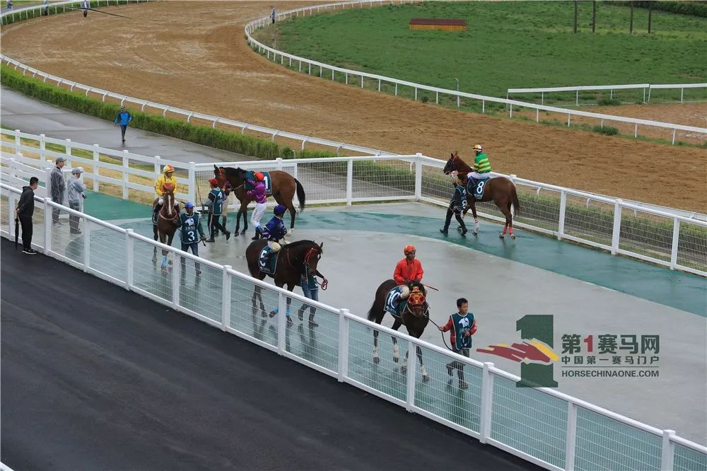 「现场」玉龙今日开锣赛，各路诸侯鏖战百万奖金！马主李勇夺最高奖金，“吉祥如意”马主王福军首战载誉归——1赛马网