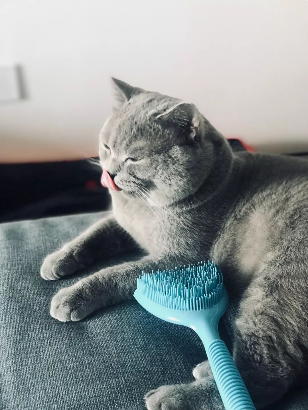 私奔为什么那么难,私奔为什么要私奔