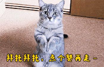 好来屋橱柜加盟,好来屋橱柜价格表