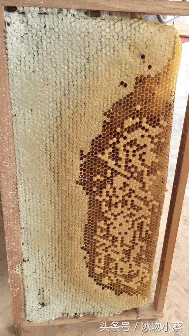 领导说了粉蜜源压子一定要解决