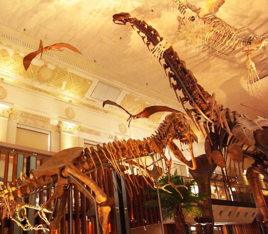 郑州万科广场最新消息,郑州万科一期视频