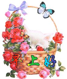 明日小满，送你好看的群聊动图，请收下