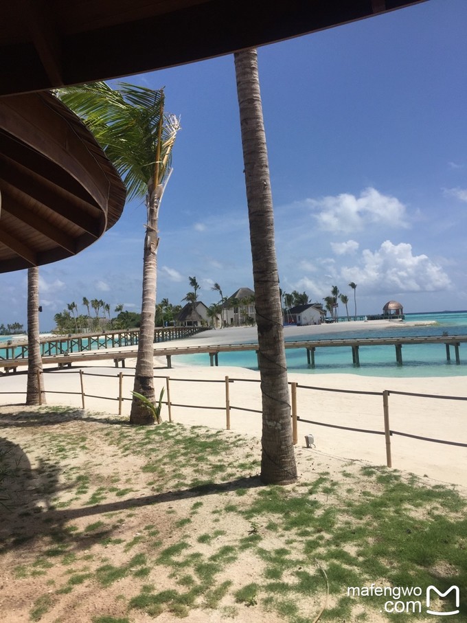 马代有毒，去过就停不下来~马尔代夫奥臻岛ozen