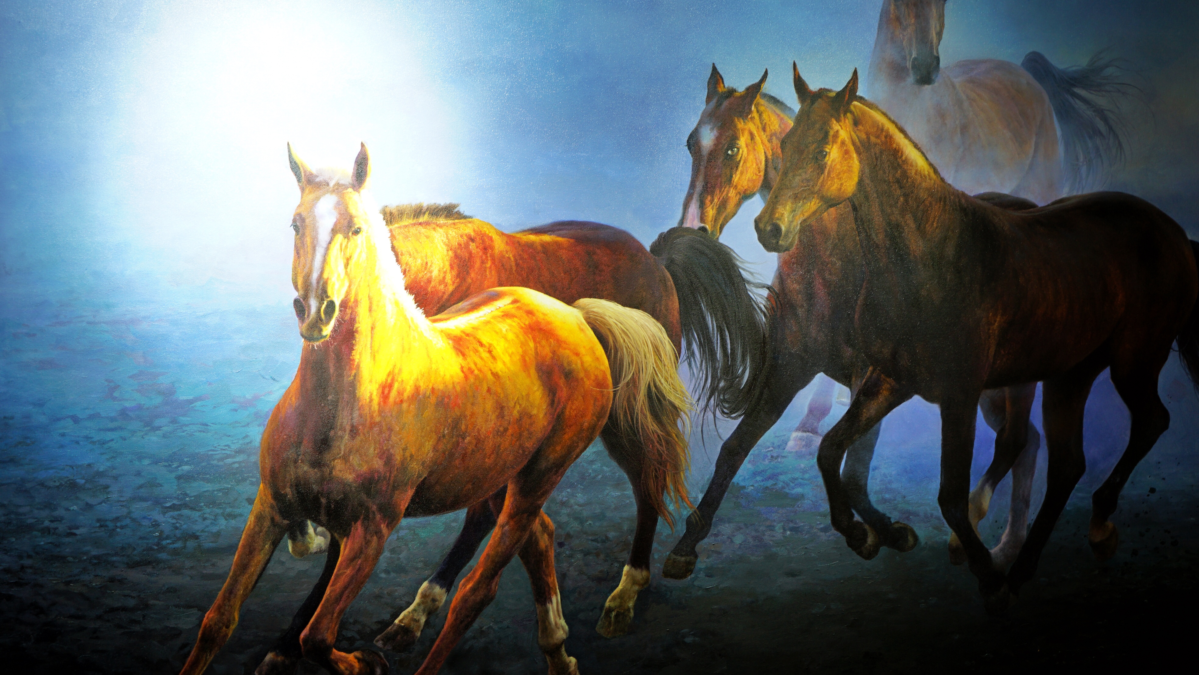 传说中的汗血宝马如今为何消失了,古代的汗血宝马真的存在吗