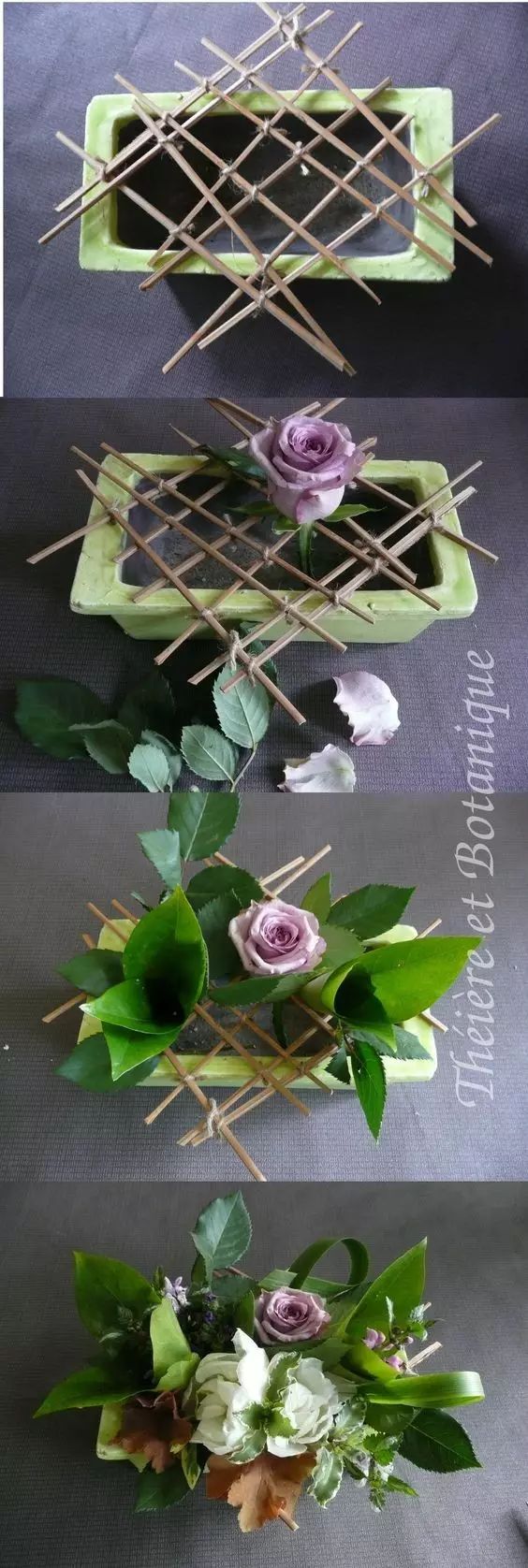 教你怎么学插花,小白零基础怎么学插花