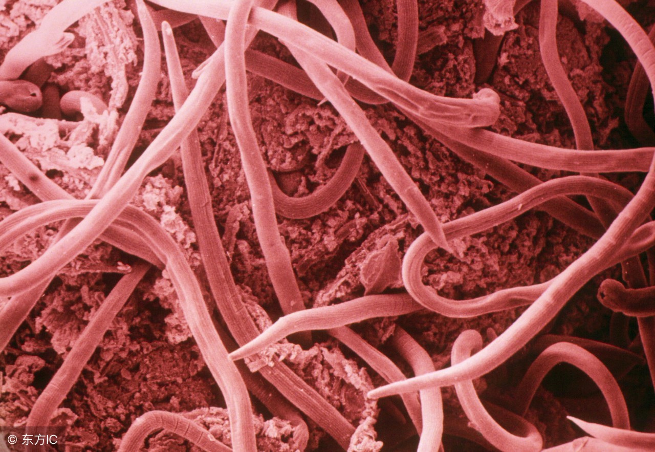 冷烫和热烫的区别解说,冷烫专业知识