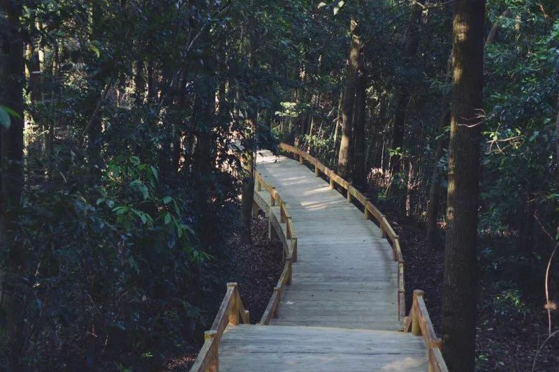 夏季出发的旅游专列,去韶关旅游专列