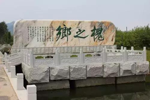 大连周边最佳赏槐地美的让人窒息