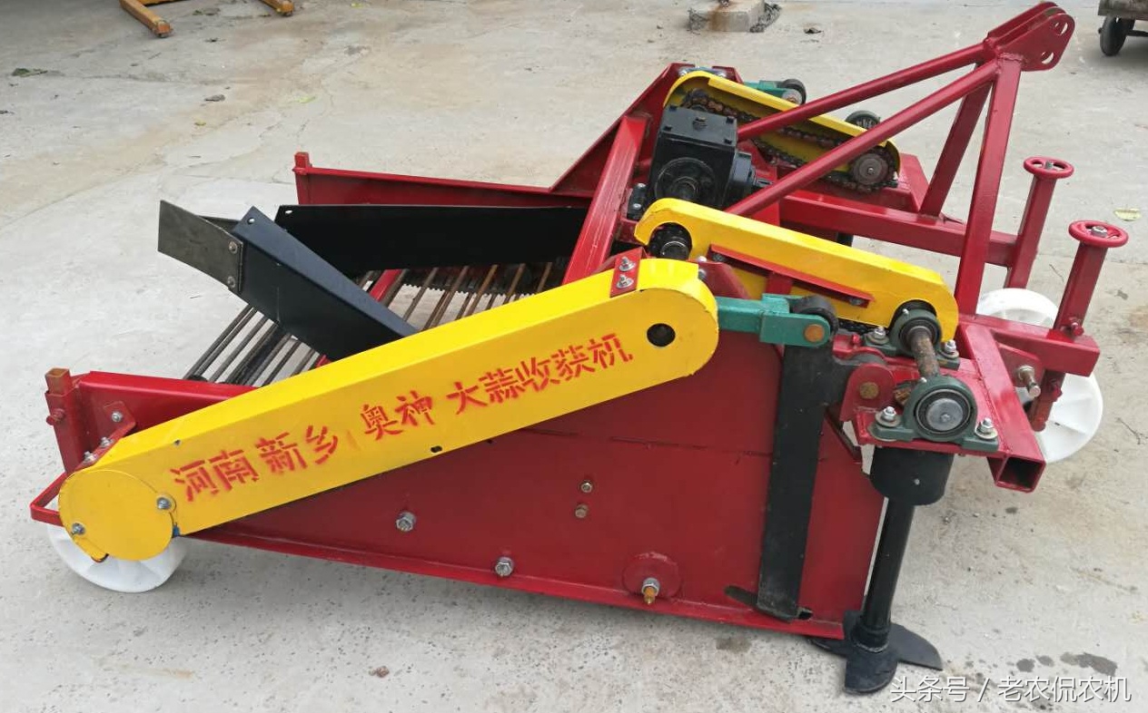 收大蒜技巧方法,下雨天收蒜视频