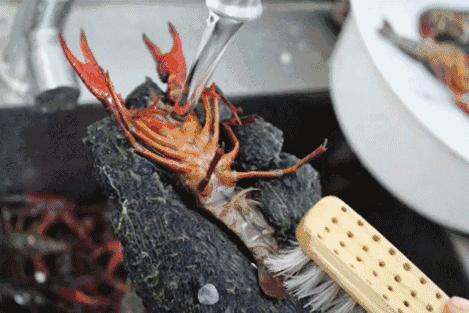 厦门这家专做小龙虾的店为女生研发了鲜肉版龙虾~