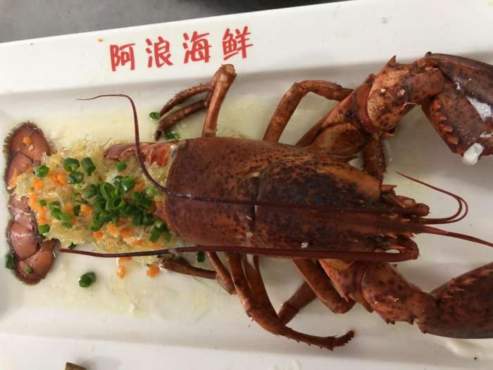 北纬十八度热带雨林天堂三亚,天堂森林公园三亚