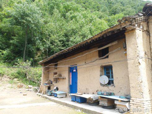 怎样分辨真假蜂蜜最简单的方法,如何快速辨别真假蜂蜜一起来看看