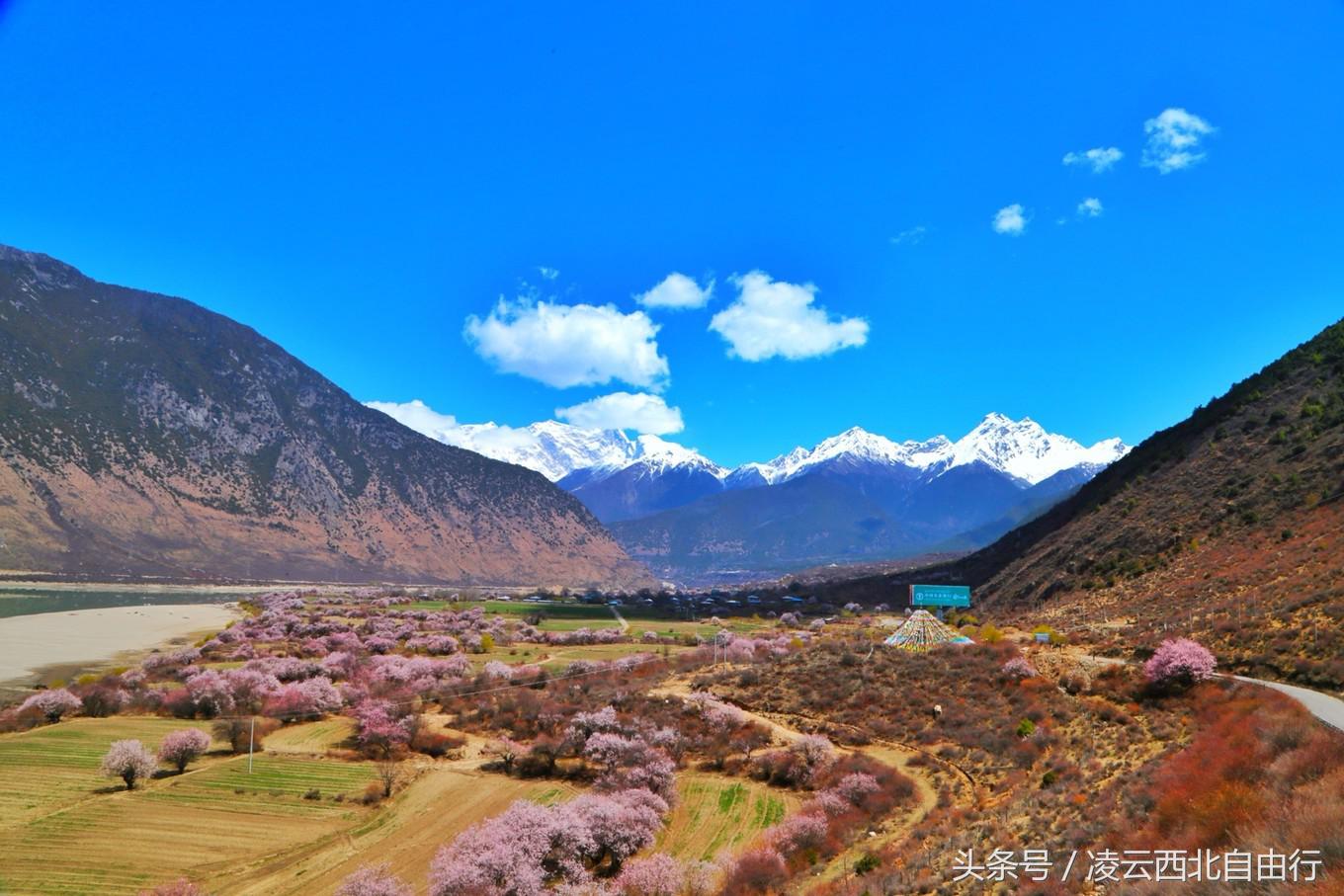 行，为寻三生三世桃花，却爱上了*藏西**的那抹蓝