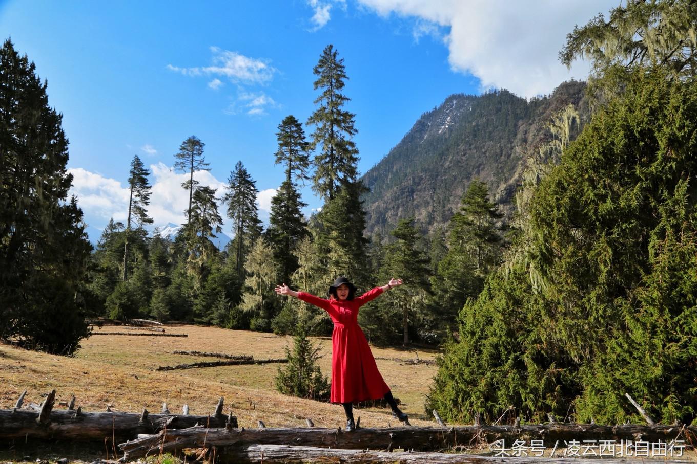 行，为寻三生三世桃花，却爱上了*藏西**的那抹蓝