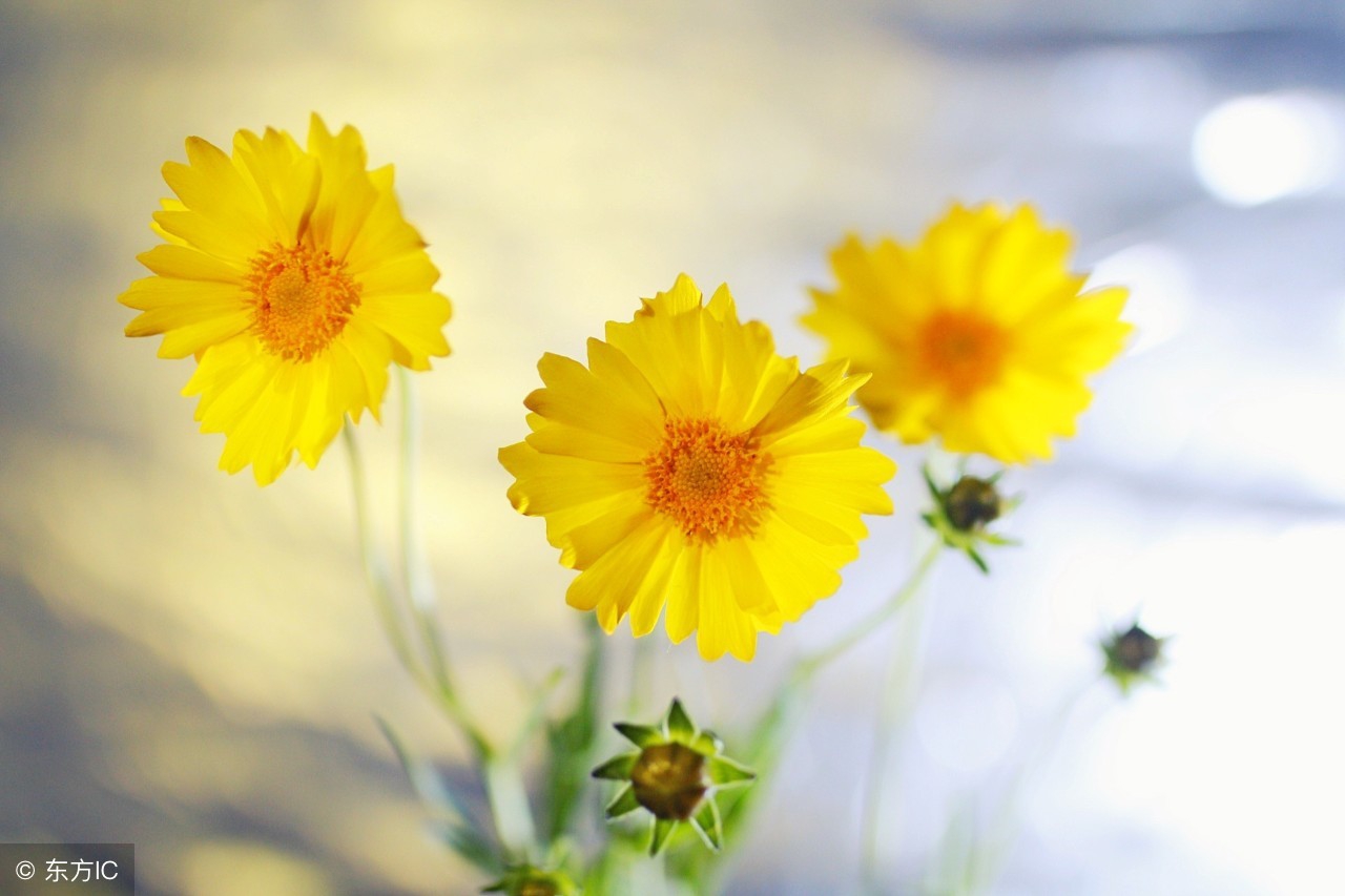 发现老公出轨了该怎么问他呢,发现老公出轨我该怎么跟他谈话