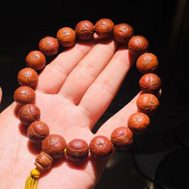 凤眼菩提的“眼睛”大揭秘,凤眼菩提有问必答