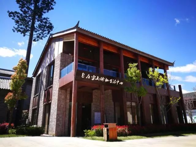 北京孕妇瑜伽培训班王昕,昕孕瑜伽王昕的课怎么样