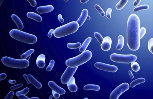 孩子有口臭一般是什么原因,导致口臭的两大元凶究竟是什么呢