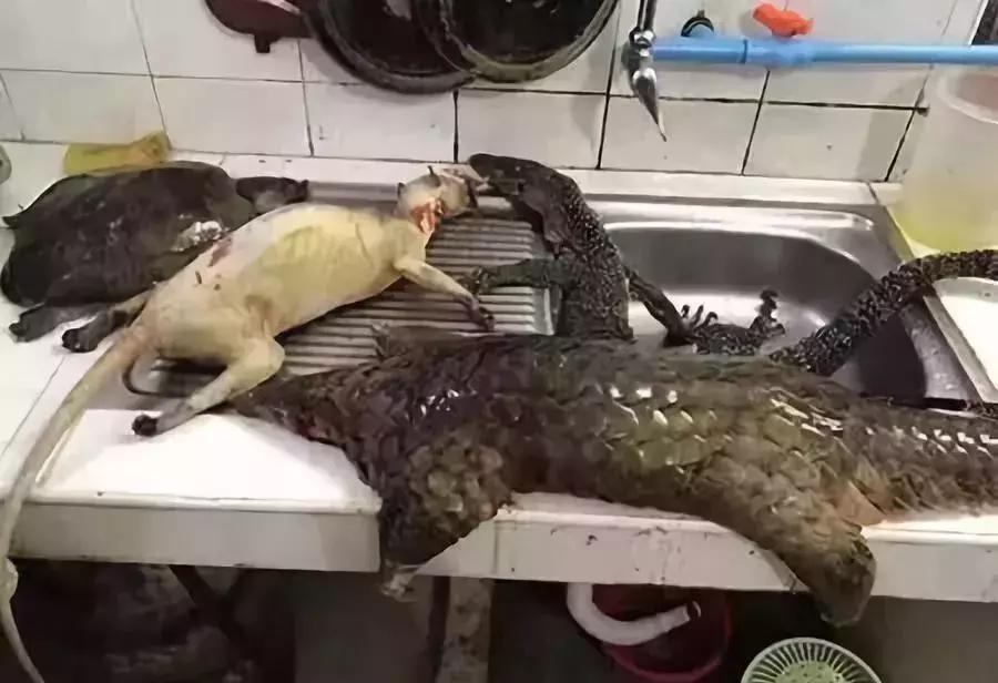 最可怕的代购骗局,揭露各种海外代购真相