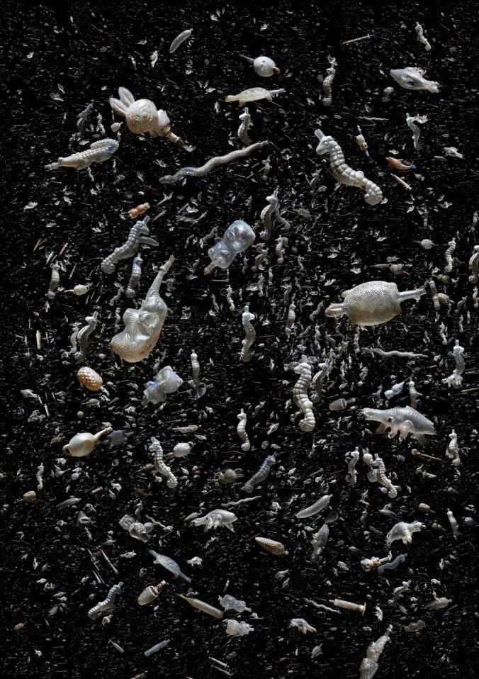 要地球，还是塑料？｜Zoom