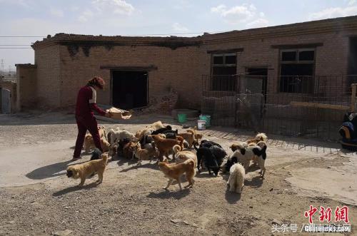 隐瞒丈夫，变卖首饰……为了流浪狗，她付出了自己的一切，值得吗？