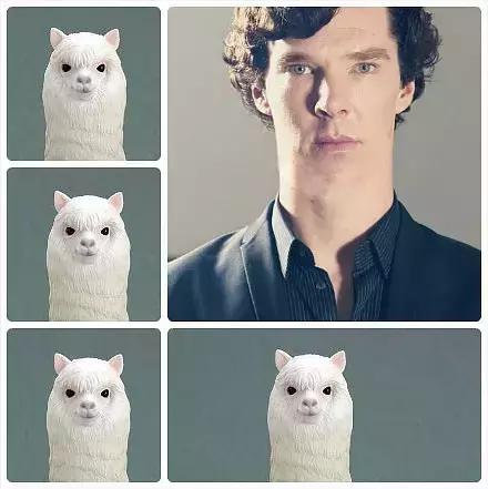 卷福新剧播出时间,卷福最新剧叫什么名字