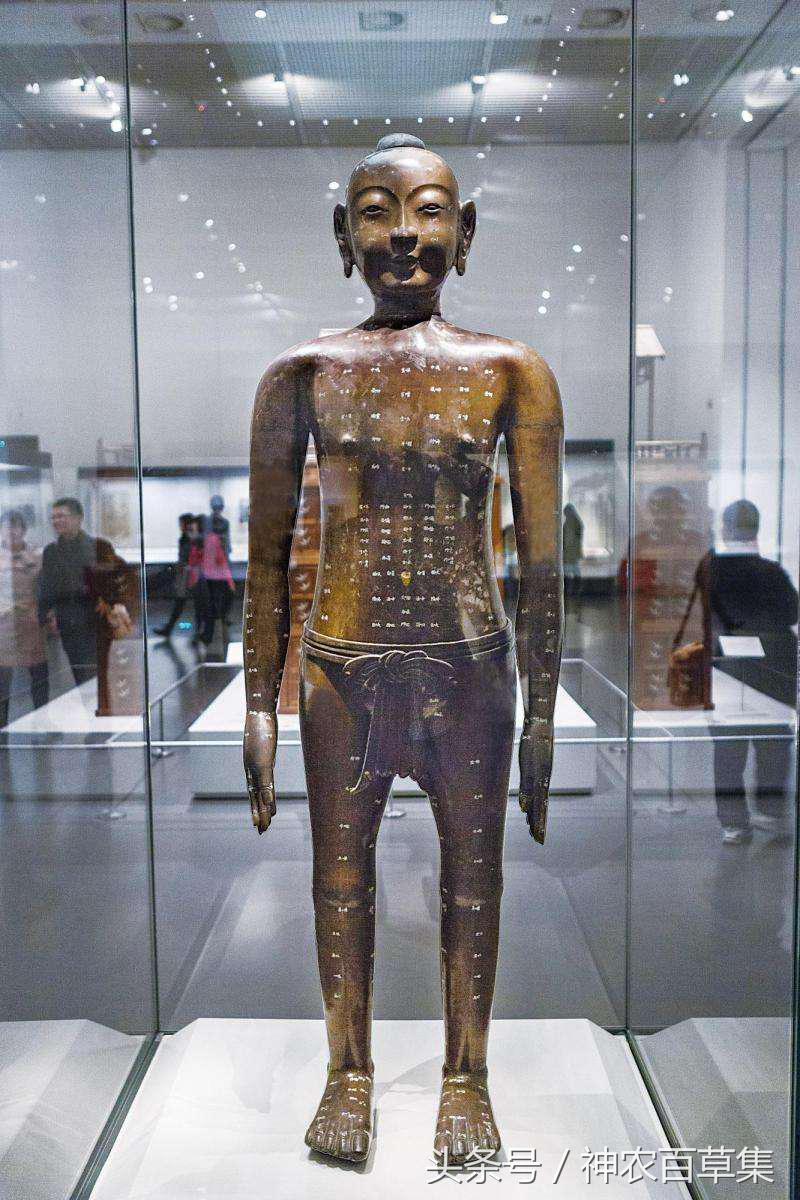 铜人针灸背后的故事,王惟一针灸经典