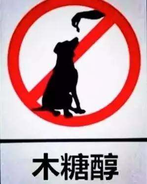 每年有3000只狗狗误食木糖醇致死，这些东西真的不能给它吃！