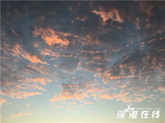 瀛曞涓殤琛楀ご鎶㈡晳,瀛曞绛夌孩缁跨伅涓殤