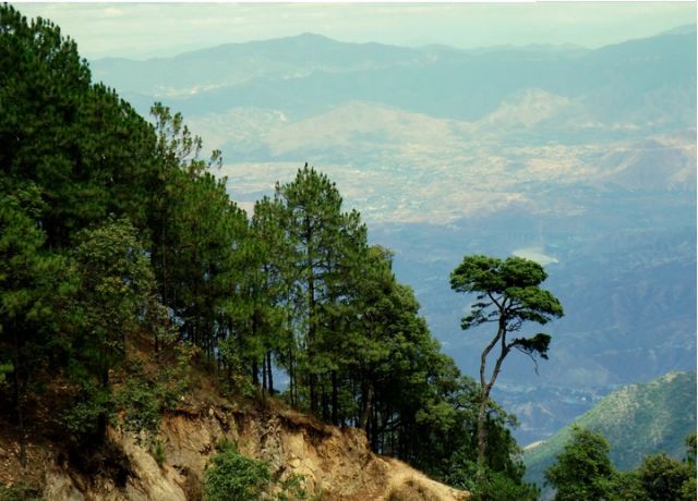 攀枝花市周边清凉避暑去哪里最好,夏季攀枝花旅游景点打卡推荐