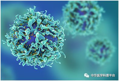 不明原因的消瘦到医院挂什么科室,不明原因的消瘦是瘦多少