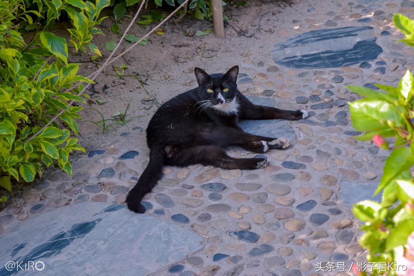 在厦门旅游去哪里看日落,去厦门的一天自由行旅游攻略