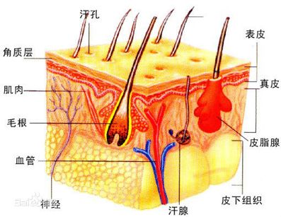 疤痕整形术后恢复过程,疤痕整形手术全过程图示